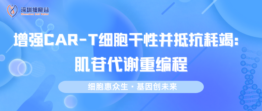 增强CAR-T细胞干性并抵抗耗竭：肌苷代谢重编程