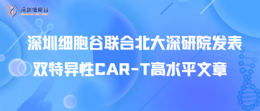 喜讯丨深圳豪门国际联合北大深研院发表双特异性CAR-T高水平文章