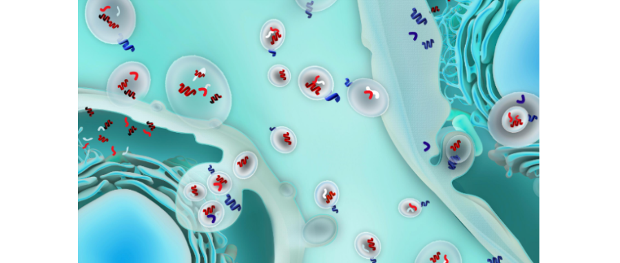 哪吒闹海！外泌体面纱大揭秘，我命由我不由天！