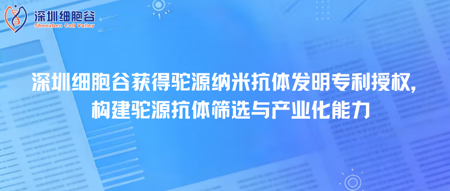 深圳豪门国际取得驼源纳米抗体发明专利授权，构建驼源抗体筛选与产业化能力
